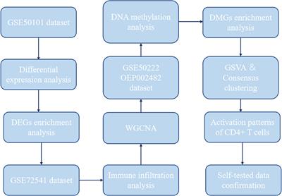 DNA methylation regulatory patterns and underlying pathways behind the co-pathogenesis of allergic rhinitis and chronic spontaneous urticaria